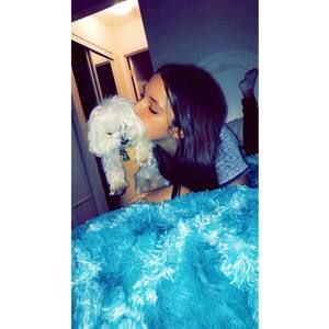 Meet your Posher, Logan